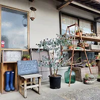 青とそよ風ノここち
 店舗写真