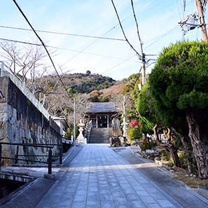 大避神社(おおさけじんじゃ)の境内へ