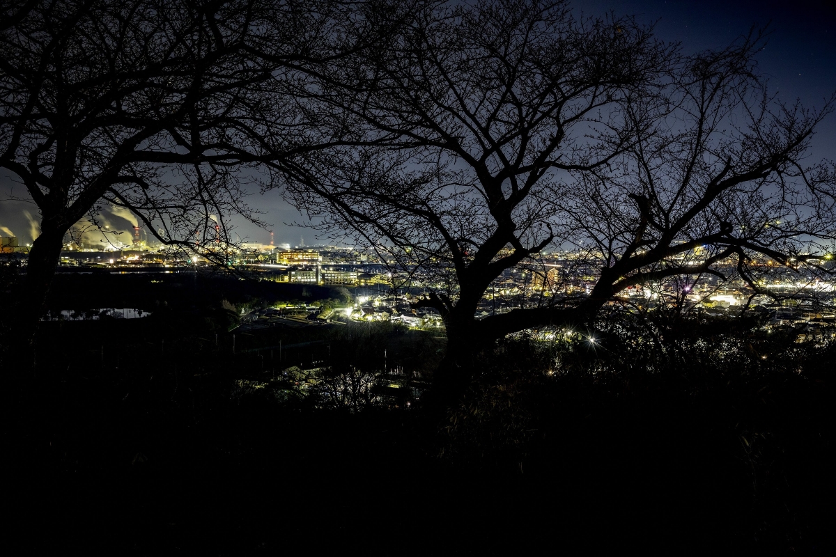 （DotGramping）夜景