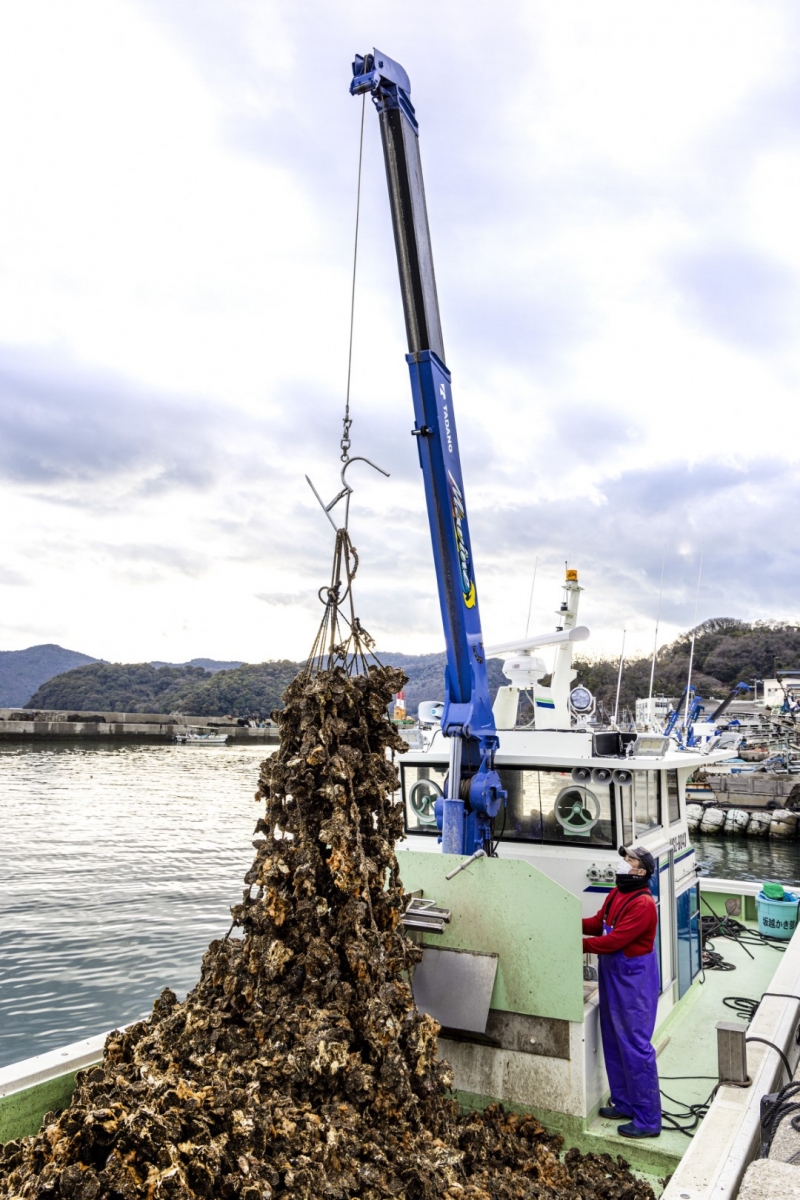 （有限会社大河水産）牡蠣と船と大河さん